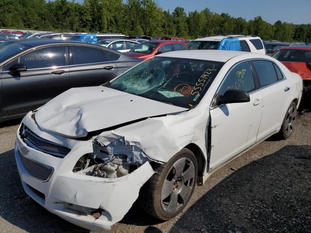 1G1ZK57B59F177720 - 2009 CHEVROLET MALIBU LTZ თეთრი ფოტო 2