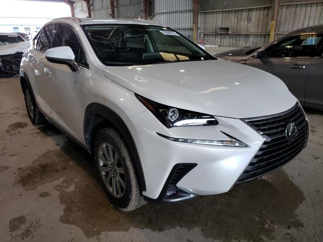 JTJDARBZ3M5026130 - 2021 LEXUS NX 300 BAS 白色 照片 1