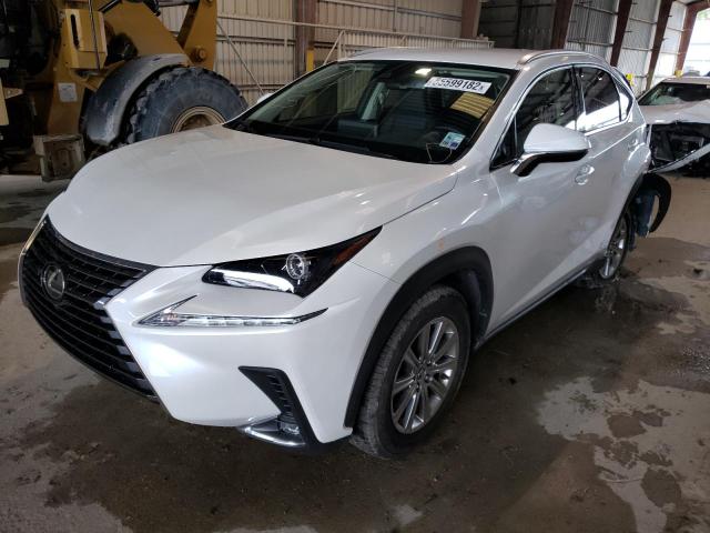 JTJDARBZ3M5026130 - 2021 LEXUS NX 300 BAS 白色 照片 2