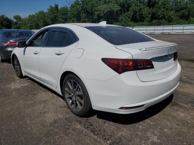19UUB3F5XGA800116 - 2016 ACURA TLX TECH WHITE photo 3