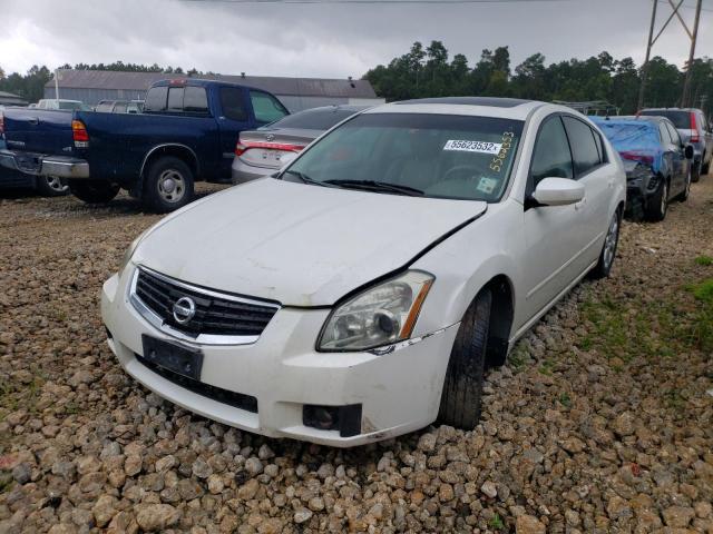 1N4BA41EX7C860896 - 2007 NISSAN MAXIMA SE WHITE photo 2