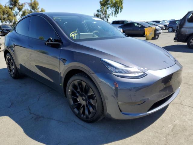 5YJYGDEE3MF241164 - 2021 TESLA MODEL Y فحمي صورة 1