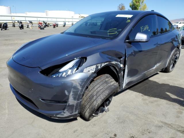 5YJYGDEE3MF241164 - 2021 TESLA MODEL Y فحمي صورة 2