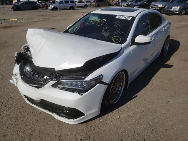 19UUB2F55GA001015 - 2016 ACURA TLX TECH WHITE photo 2