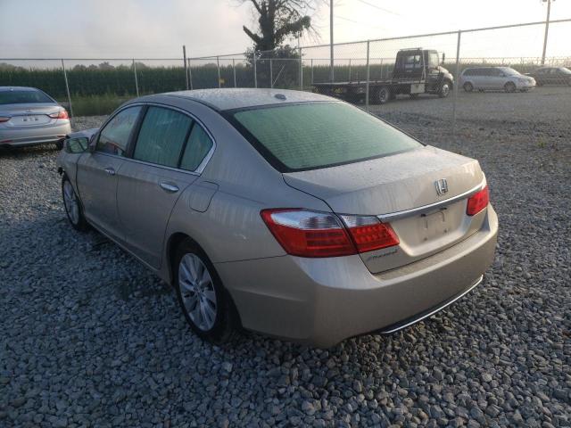 1HGCR2F80EA054686 - 2014 HONDA ACCORD EXL BEIGE photo 3