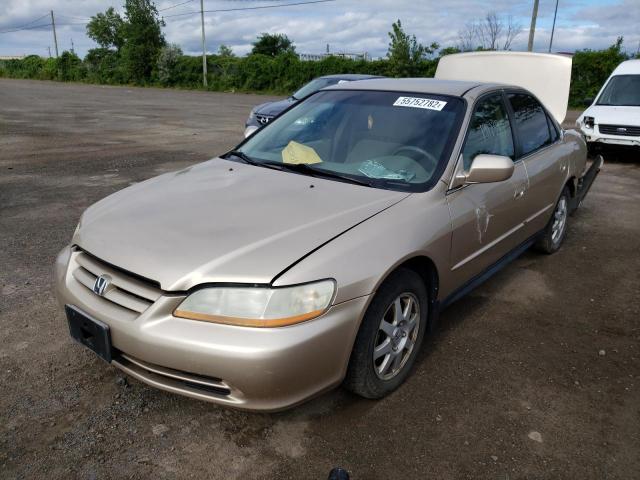 1HGCG56471A814451 - 2001 HONDA ACCORD LX GOLD photo 2