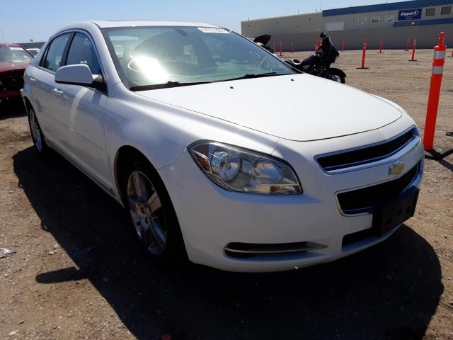 1G1ZH57B39F243101 - 2009 CHEVROLET MALIBU 1LT WHITE photo 1