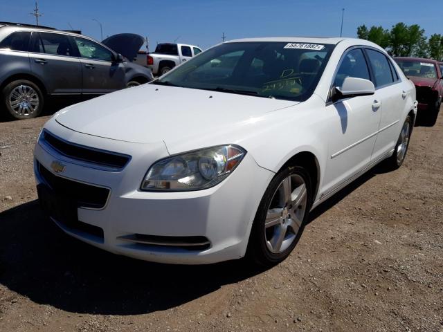 1G1ZH57B39F243101 - 2009 CHEVROLET MALIBU 1LT WHITE photo 2