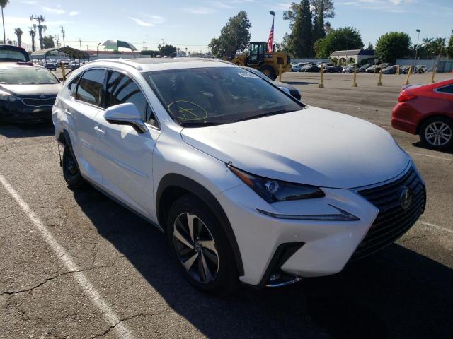 JTJGARBZ1M5027113 - 2021 LEXUS NX 300 BAS WHITE photo 1