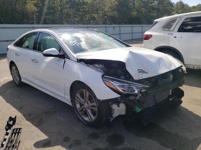 5NPE34AF3KH758492 - 2019 HYUNDAI SONATA LIM WHITE photo 1