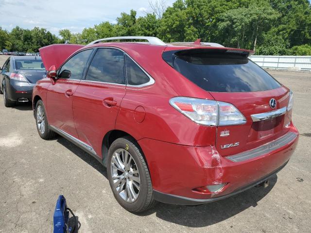 JTJBC1BA5A2021859 - 2010 LEXUS RX 450 RED photo 3