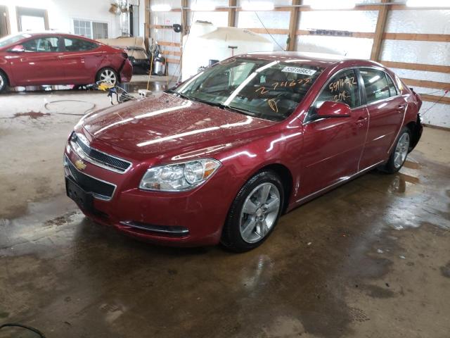 1G1ZC5E13BF274623 - 2011 CHEVROLET MALIBU 1LT ბურგუნდია ფოტო 2
