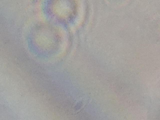 1G2NF52E04C246419 - 2004 PONTIAC GRAND AM S GOLD photo 8