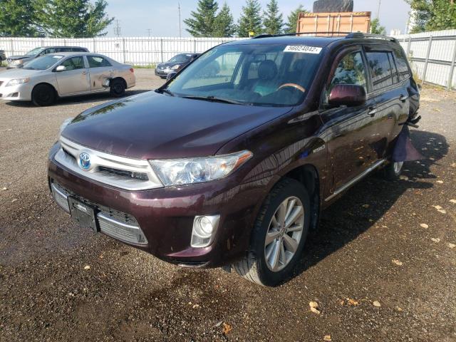 JTEDC3EH7B2002288 - 2011 TOYOTA HIGHLANDER BURGUNDY photo 2