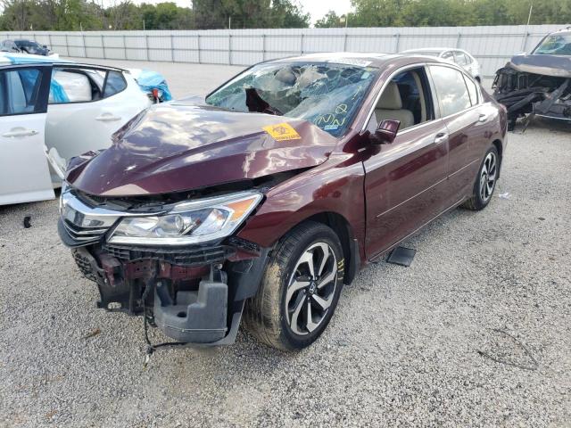 1HGCR2F82HA120448 - 2017 HONDA ACCORD EXL BURGUNDY photo 2