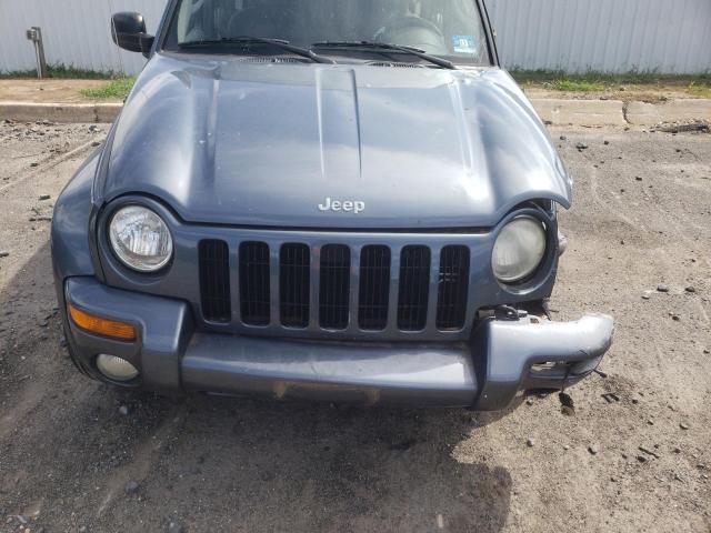 1J4GL58K42W253888 - 2002 JEEP LIBERTY LI BLUE photo 7