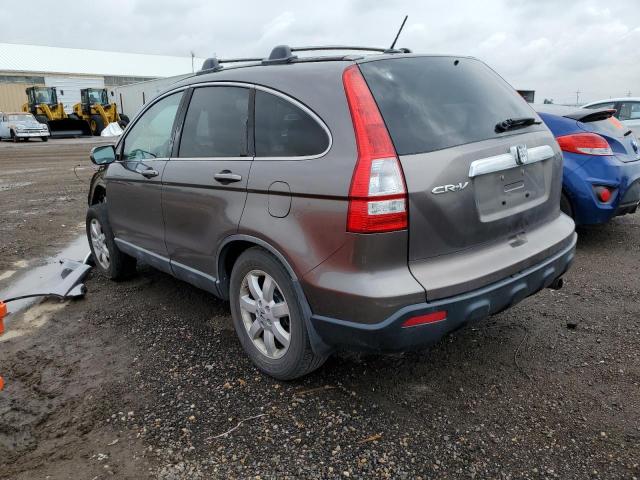 5J6RE48739L015650 - 2009 HONDA CR-V EXL GRAY photo 3