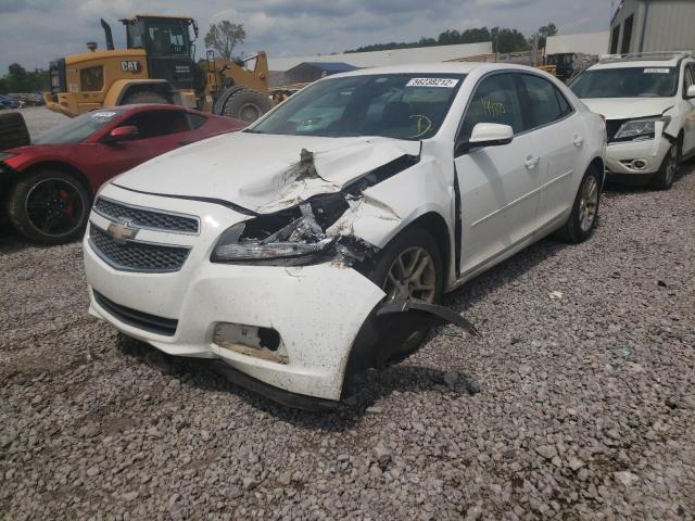 1G11C5SAXDF296493 - 2013 CHEVROLET MALIBU 1LT 白色 照片 2