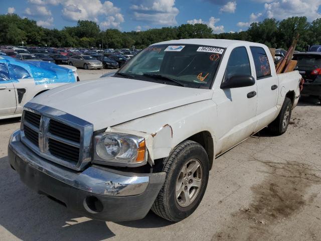 1D7HW48N65S179509 - 2005 DODGE DAKOTA QUA WHITE photo 2