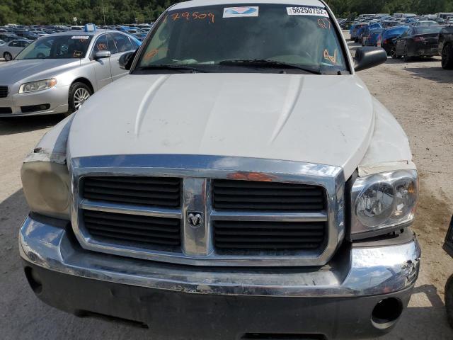 1D7HW48N65S179509 - 2005 DODGE DAKOTA QUA WHITE photo 7