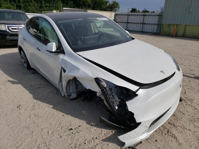 5YJYGDEE7MF148177 - 2021 TESLA MODEL Y WHITE photo 1