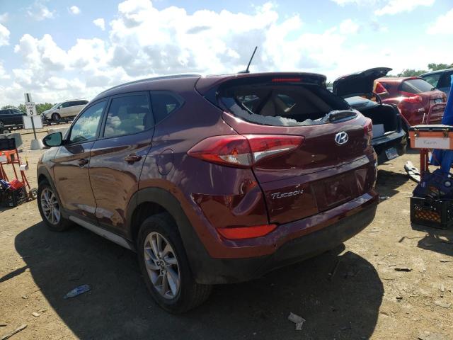 KM8J3CA48HU469254 - 2017 HYUNDAI TUCSON LIM MAROON photo 3