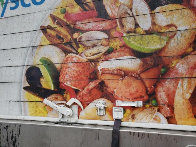 1UYVS234XCM318801 - 2012 UTILITY VS2RA 白色 照片 6