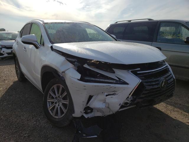 JTJDARDZ6M5022599 - 2021 LEXUS NX 300 BAS 白色 照片 1