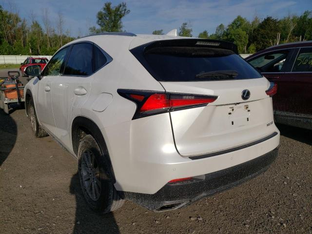 JTJDARDZ6M5022599 - 2021 LEXUS NX 300 BAS WHITE photo 3