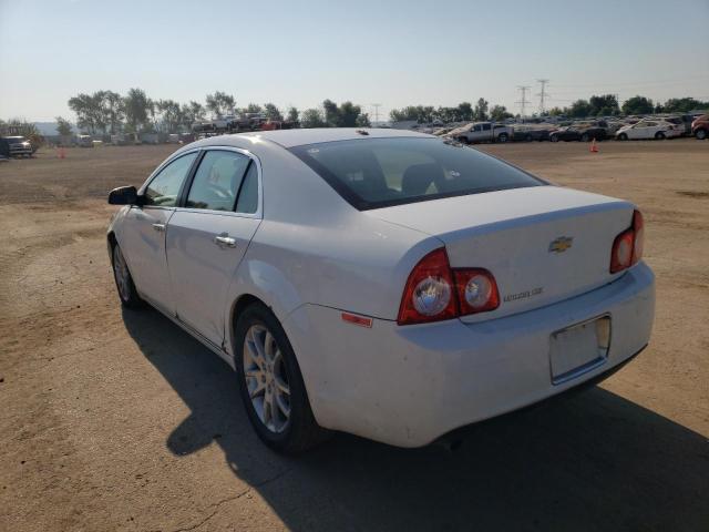 1G1ZE5E19BF396705 - 2011 CHEVROLET MALIBU LTZ თეთრი ფოტო 3