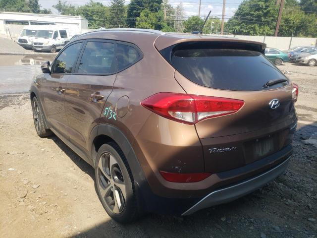 KM8J3CA26HU377400 - 2017 HYUNDAI TUCSON LIM BROWN photo 3