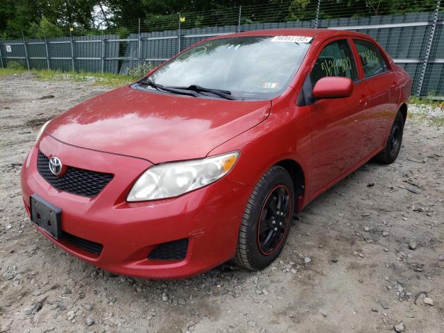 1NXBU4EE1AZ307496 - 2010 TOYOTA COROLLA BASE  照片 2