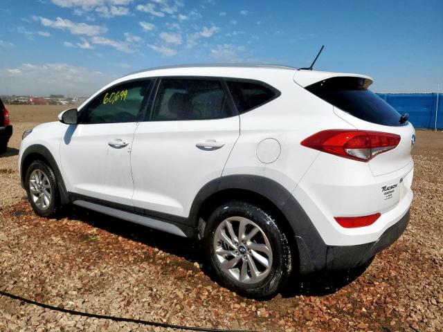 KM8J3CA44HU589679 - 2017 HYUNDAI TUCSON LIM WHITE photo 3