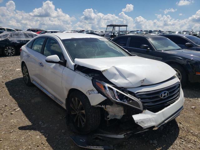 5NPE34AF1FH124426 - 2015 HYUNDAI SONATA SPO WHITE photo 1