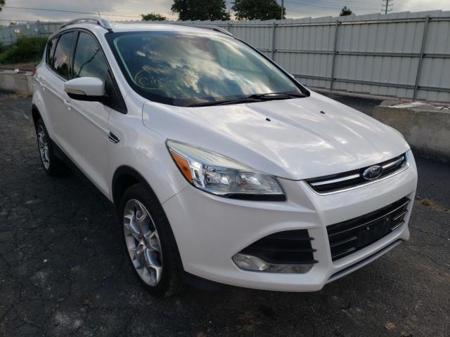 1FMCU0JX9EUA75532 - 2014 FORD ESCAPE TIT WHITE photo 1