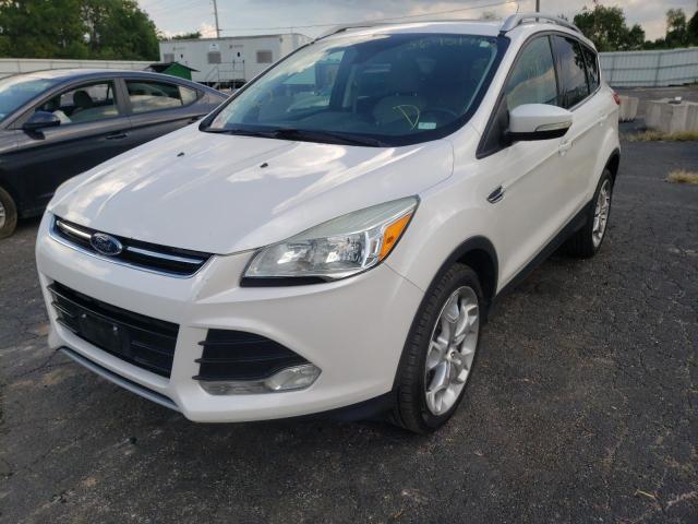 1FMCU0JX9EUA75532 - 2014 FORD ESCAPE TIT WHITE photo 2