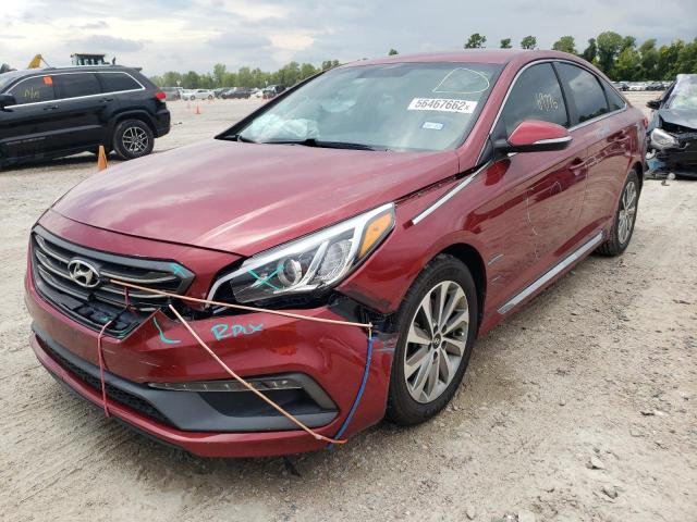 5NPE34AF6GH299126 - 2016 HYUNDAI SONATA SPO RED photo 2