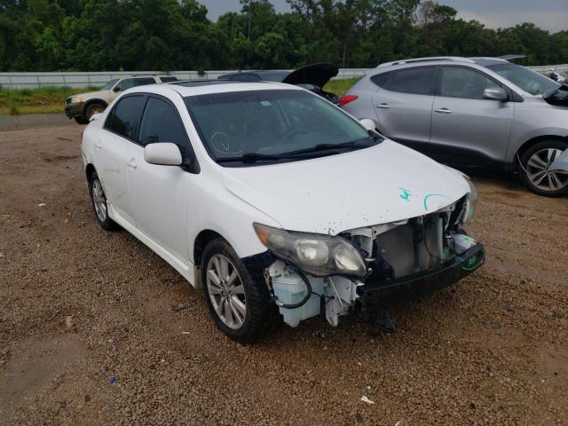 2T1BU4EEXAC436533 - 2010 TOYOTA COROLLA BASE  photo 1