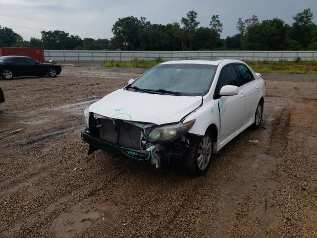 2T1BU4EEXAC436533 - 2010 TOYOTA COROLLA BASE  照片 2