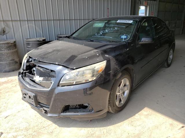 1G11B5SA5DF210641 - 2013 CHEVROLET MALIBU LS BLACK photo 2