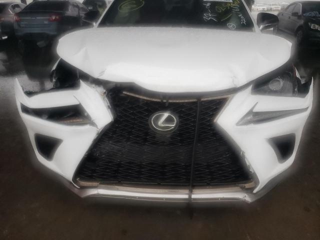 JTJSARBZ9M5025944 - 2021 LEXUS NX 300 BAS 白色 照片 9