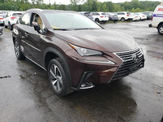 JTJBARBZXK2190917 - 2019 LEXUS NX 300 BAS BROWN photo 1