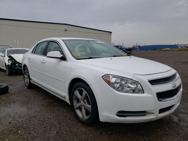 1G1ZH57B59F129519 - 2009 CHEVROLET MALIBU 1LT 白色 照片 1