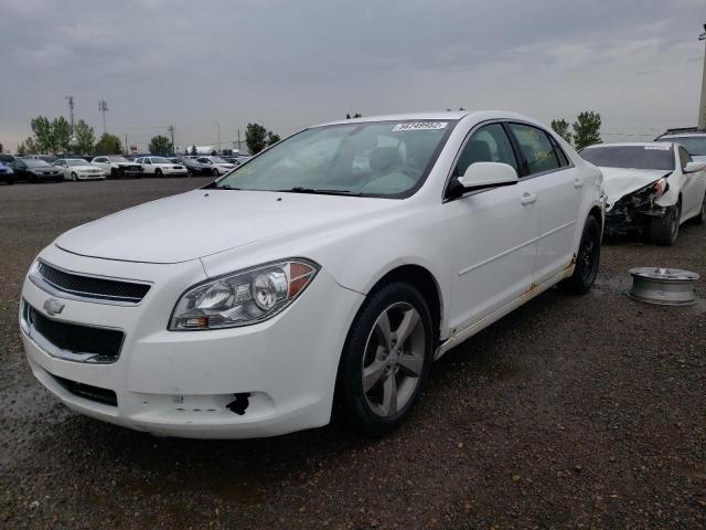 1G1ZH57B59F129519 - 2009 CHEVROLET MALIBU 1LT 白色 照片 2