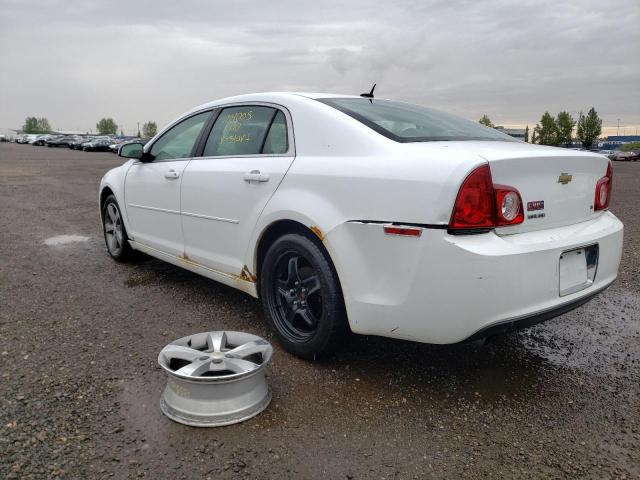 1G1ZH57B59F129519 - 2009 CHEVROLET MALIBU 1LT 白色 照片 3