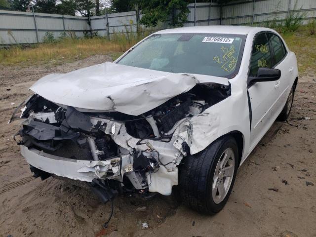 1G11B5SA1GF103445 - 2016 CHEVROLET MALIBU LIM 白色 照片 2