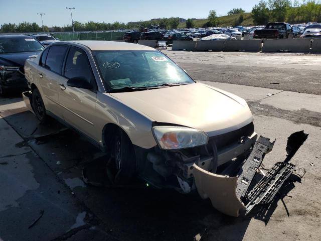 1G1ZT52865F312223 - 2005 CHEVROLET MALIBU LS GOLD photo 1