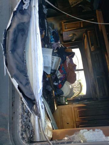 1RF12061511014706 - 2001 ROADMASTER RAIL EXECUTIVE Boz foto 6