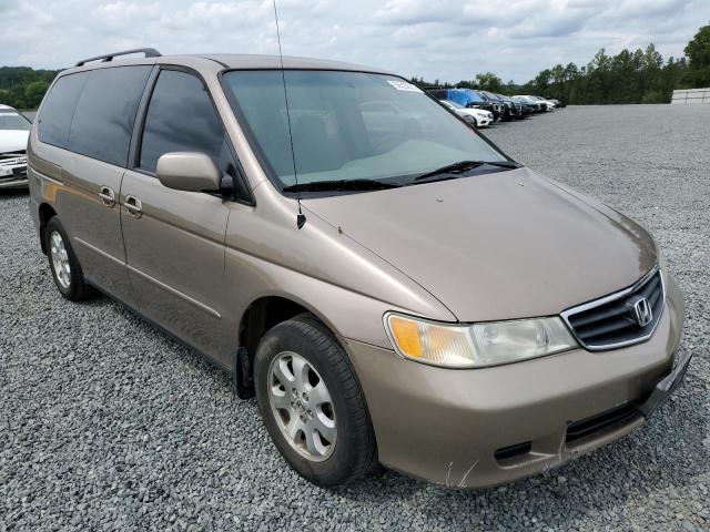 5FNRL18684B046535 - 2004 HONDA ODYSSEY EX GOLD photo 1