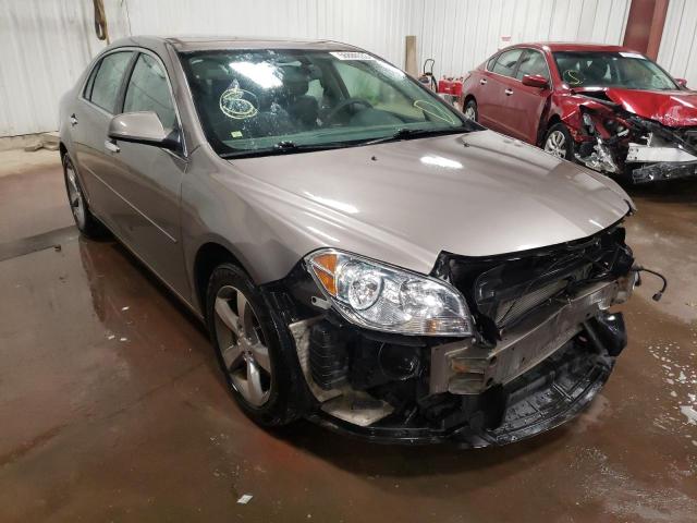 1G1ZC5E09CF298708 - 2012 CHEVROLET MALIBU 1LT GOLD photo 1